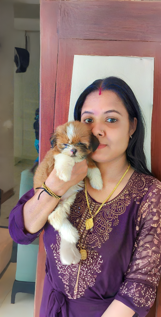 Rajina